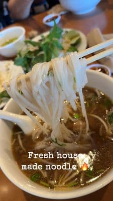 Noodlelicious