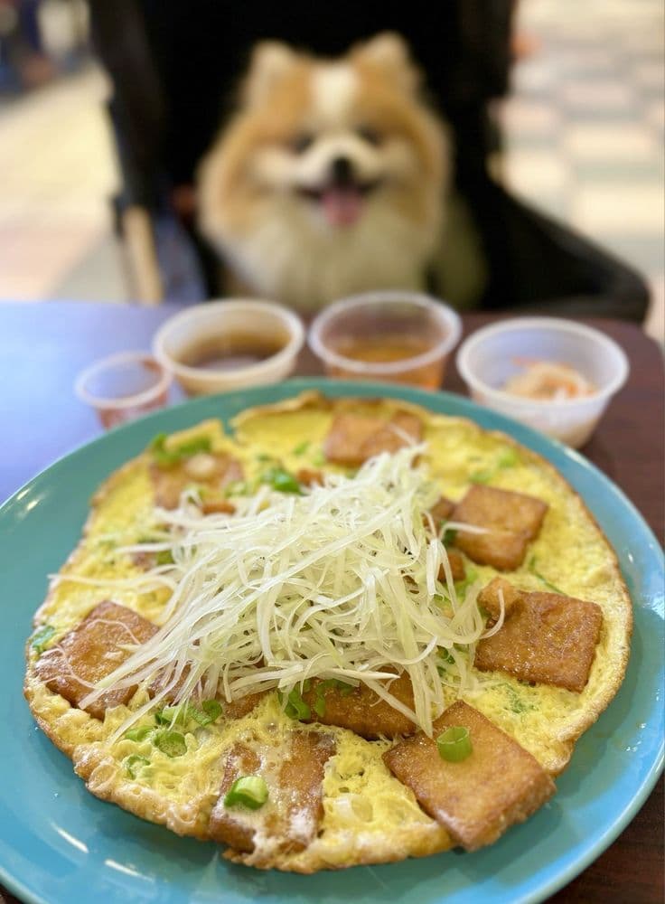 Bot Chien