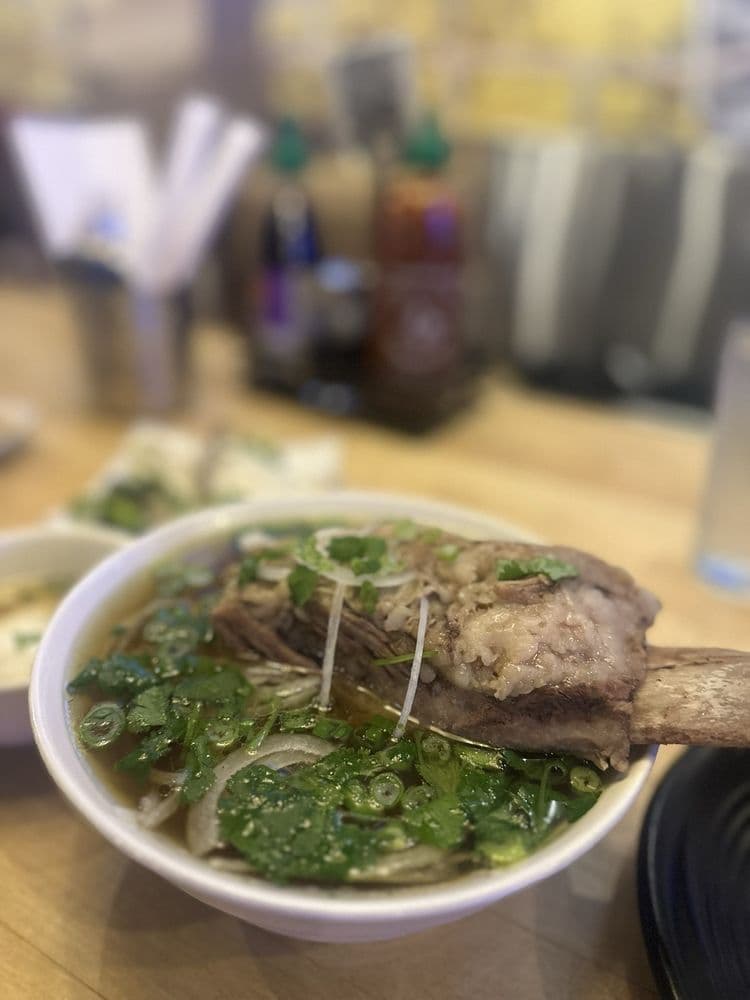 Shank & Bone