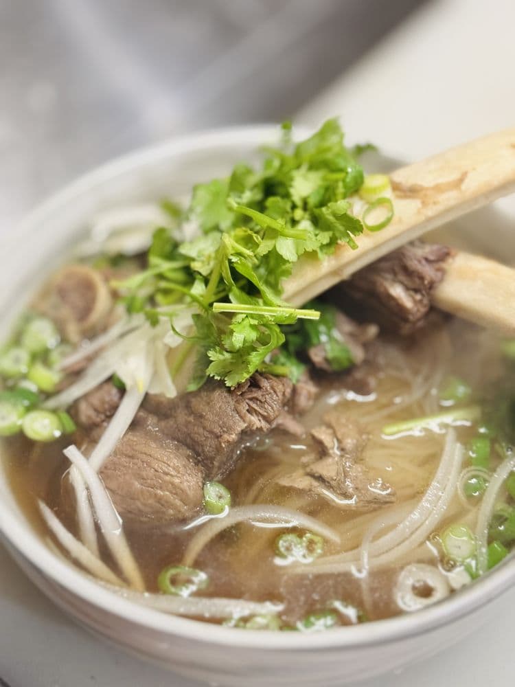 Saigon Fusion 8