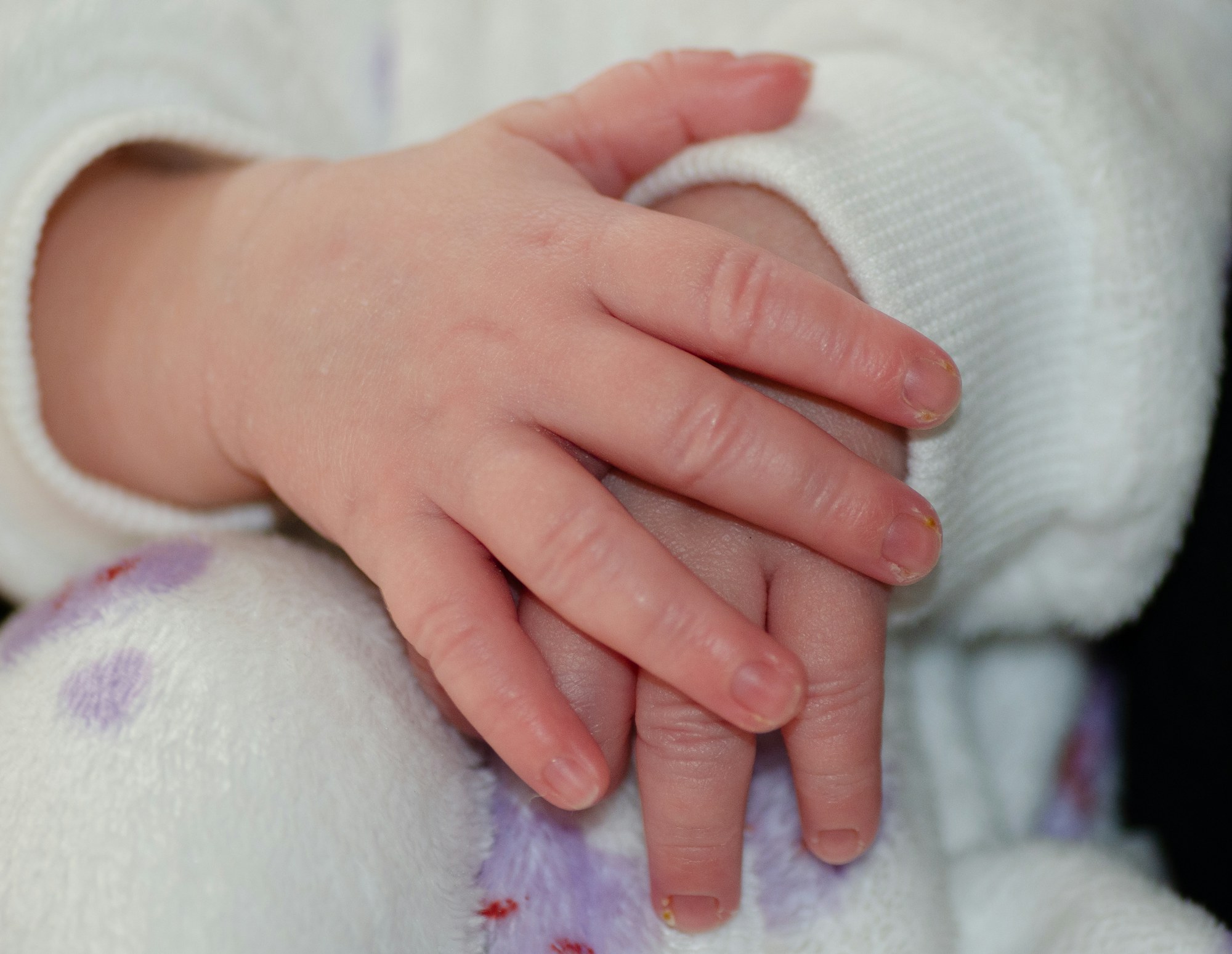 Newborn baby hands close up